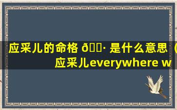 应采儿的命格 🌷 是什么意思（应采儿everywhere we go是什么意思）